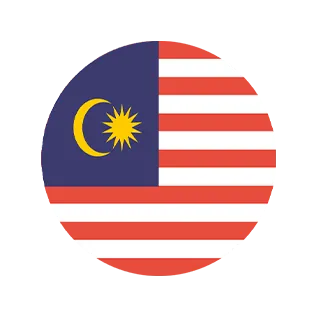 New Language Icon